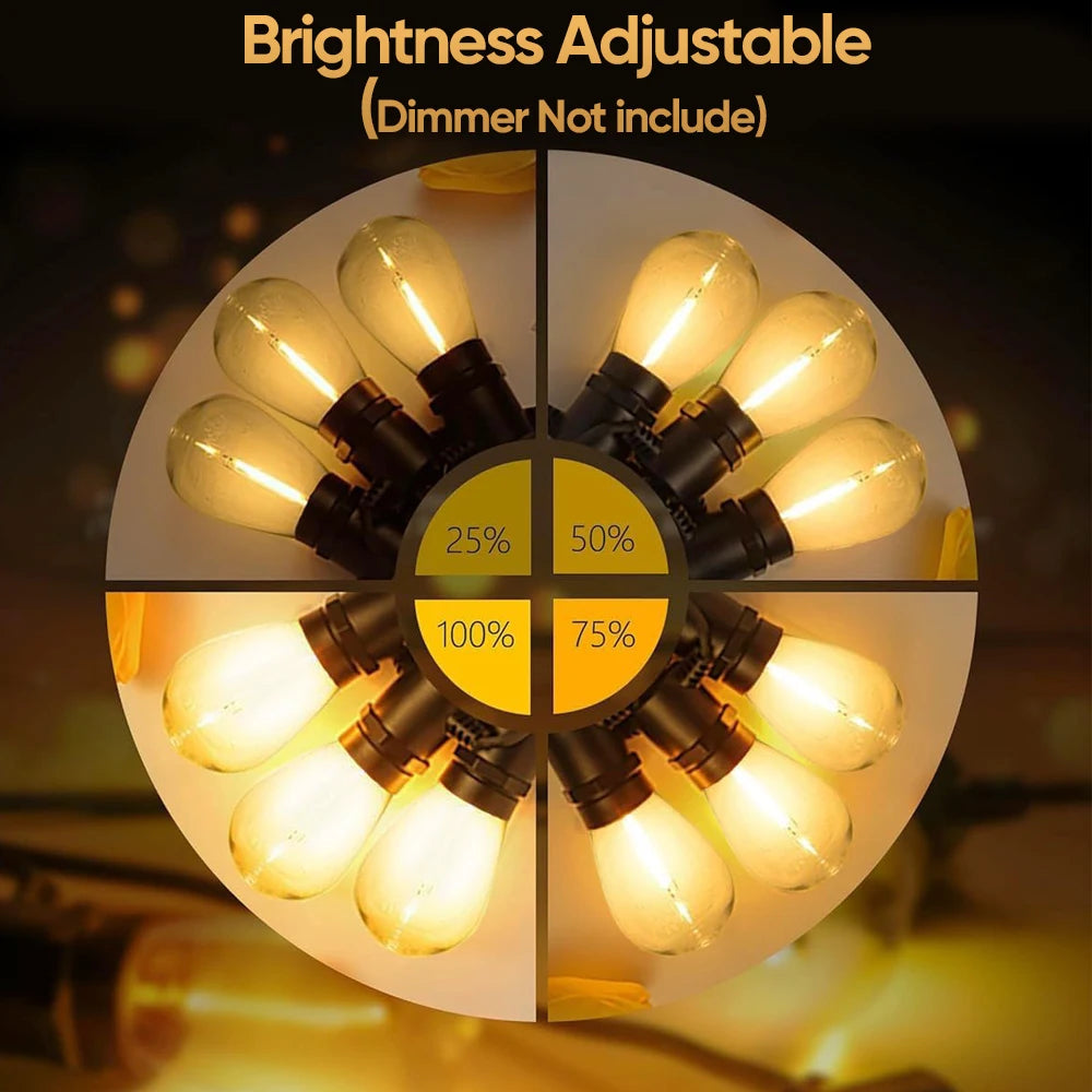 guirlande lumineuse led jaune 10m 10ampoules extérieur imperméable jardin festive