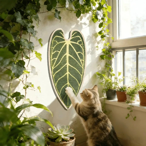 griffoir mural chat feuille tropicale adhésive vert moderne décoration intérieure sécurisé jeu feline