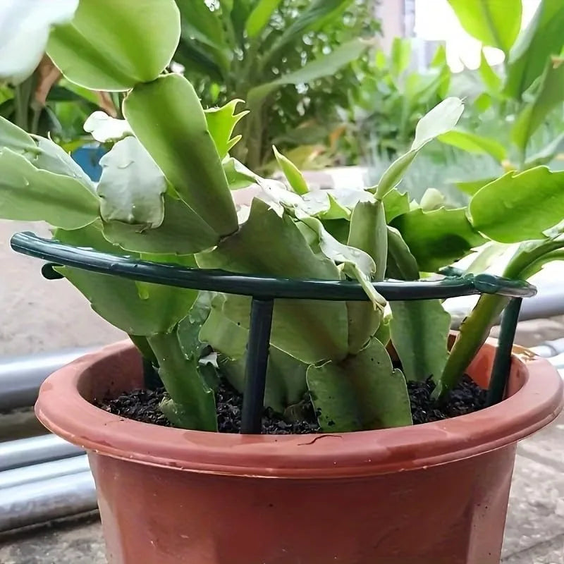 support plante vert foncé clips plastique peint pratique fleur grimpante bonsaï jardin arrangement