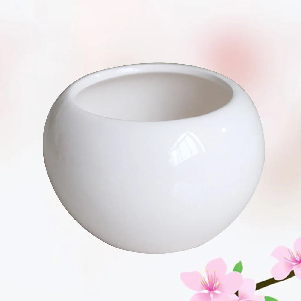 pots céramique blanc modernes intérieur succulentes élégant minimaliste fleurs plantes