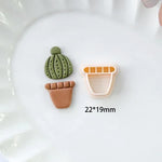 moules biscuits cactus motifs géométriques pots différents couleurs vert beige marron rose modernes