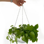 cache pot suspendu miroir moderne mosaïque petits miroirs chaînes argentées plante verte intérieur extérieur
