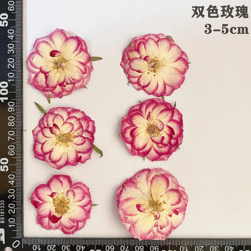 fleurs séchées naturelles rouge jaune blanc rose décoration maison intérieure bricolage scrapbooking abat jour