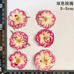 fleurs séchées naturelles rouge jaune blanc rose décoration maison intérieure bricolage scrapbooking abat jour