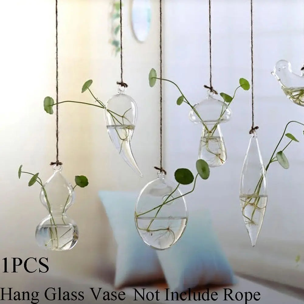 vases suspendus verre transparent motifs oiseaux coeurs plantes vertes minimaliste terrarium hydroponie