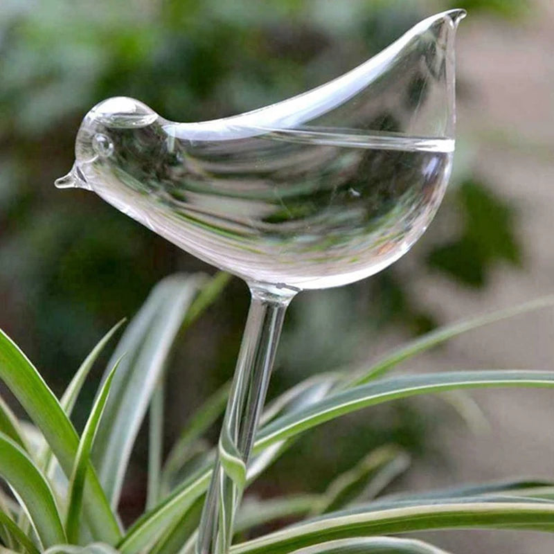 arrosage plantes oiseau verre transparent moderne minimalisteintérieur jardinDecorationUsageIdéal plantes verte