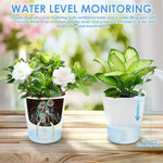 pots auto arrosants blancs modernes fente drainage coton fenêtre niveau eau