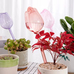 pique plantes tulipe plastique rose violet blanc translucide moderne adhésif kit arrosage
