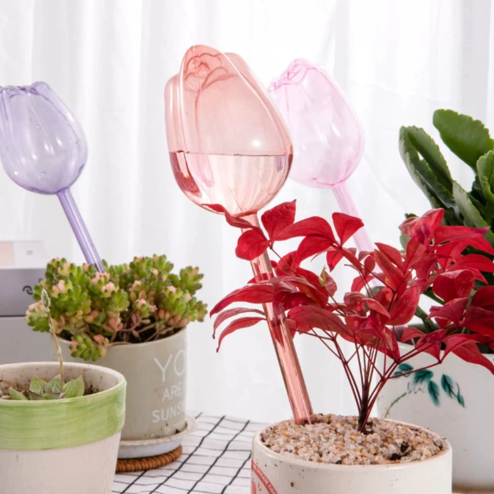 pique plantes tulipe plastique rose violet blanc translucide moderne adhésif kit arrosage