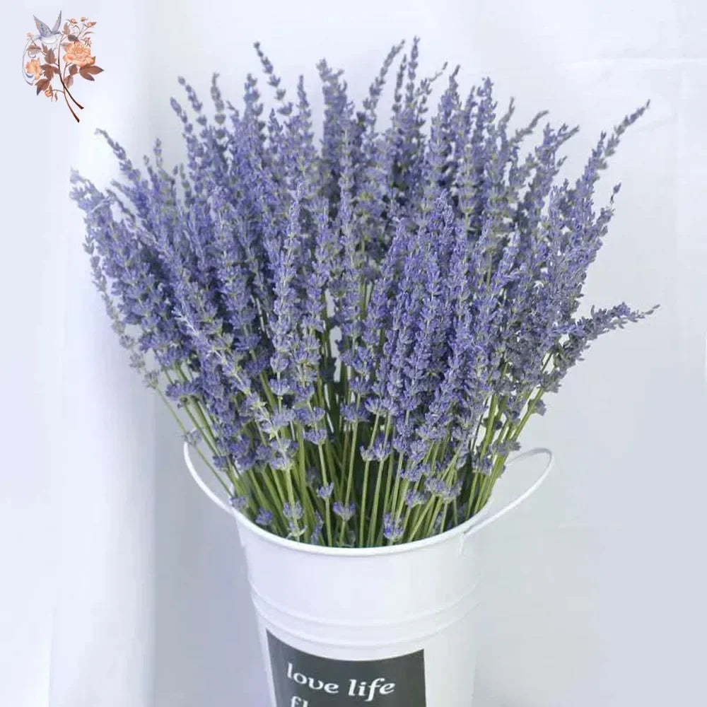 bouquet lavande séchée violette bleue verte décoration maison anniversaire mariage rustic naturel