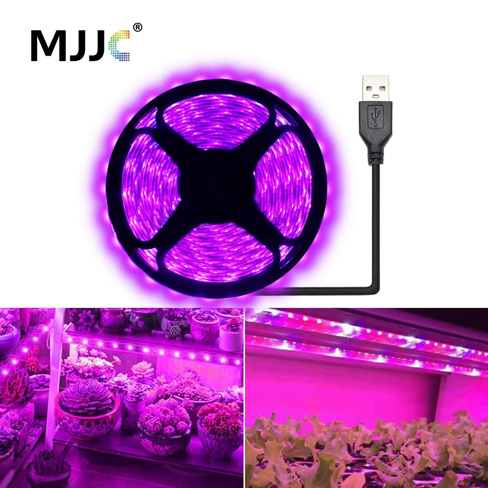 ruban led violet croissance plante moderne 5v 60 led 50000h usb