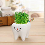 pots céramique porcelaine forme dents plante verte expression faciale decoration mignonne originale
