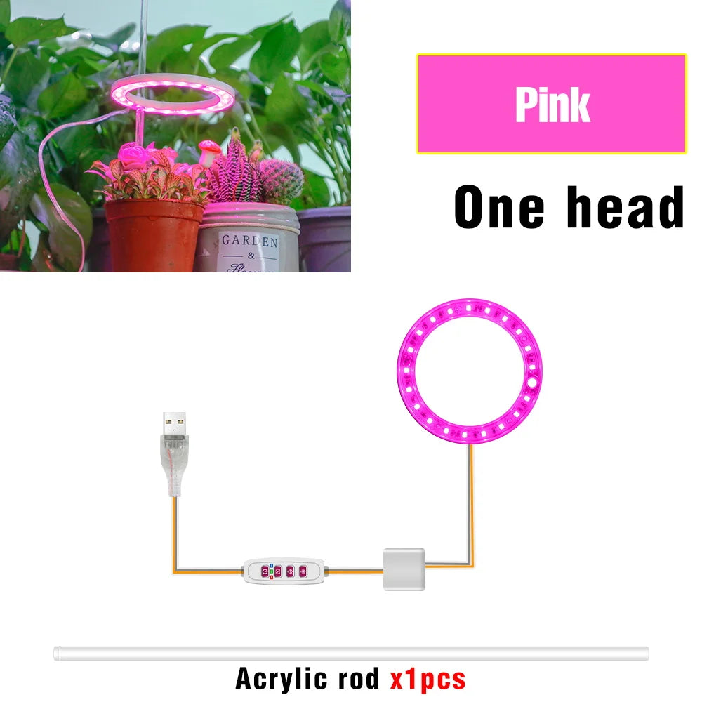 lumière croissance led usb 5v pink red blue sunlight controle remote moderne hydroponique