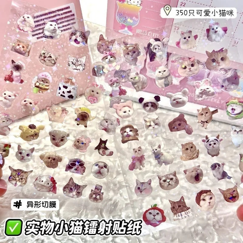 sticker chatons mignons multicolores adhésifs transparents motifs brillants cartoon 9x12cm