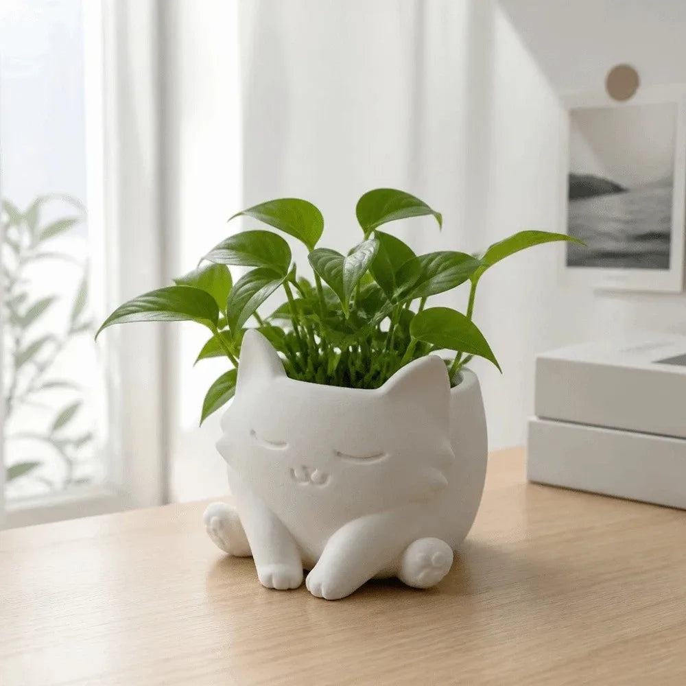 pots plantes forme chat blanc noir mignon moderne décoration succulentes fleurs artificiellements visible pilea