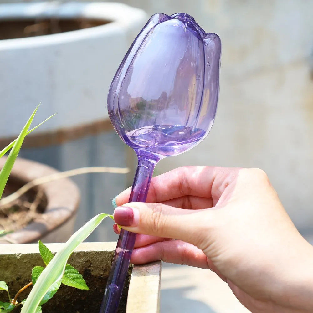 pique plantes tulipe plastique rose violet blanc translucide moderne adhésif kit arrosage