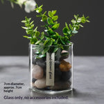 terrarium verre transparent plantes artificielles décoration miniature intérieur moderne décoratif