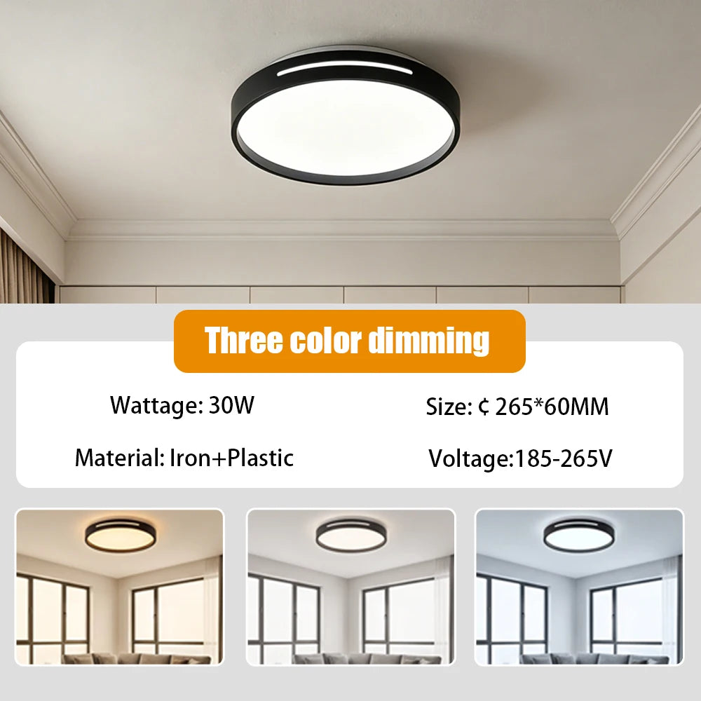 lampe minimaliste noir réglable télécommande éclairage maison salon led 30w 40w 3000k 4000k 6500k