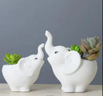 pots fleurs succulentes céramique forme éléphant blanc moderne décoration maison plantes vertes