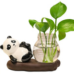 cache pot verre transparent base céramique panda lapin feuilles moderne intérieur blanc noir vert
