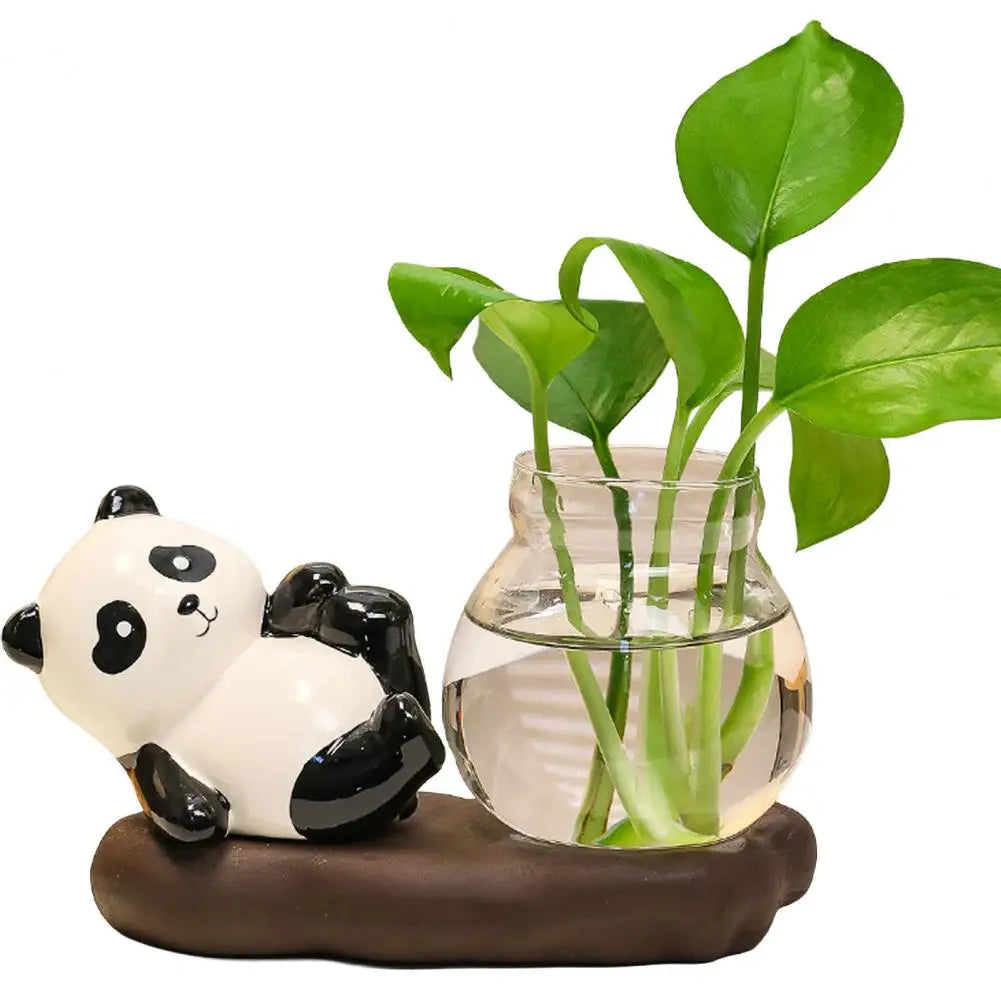 cache pot verre transparent base céramique panda lapin feuilles moderne intérieur blanc noir vert