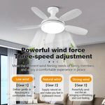 ventilateur lumière led blanc moderne télécommande flux lumineux variable silencieux facile haute qualité certification