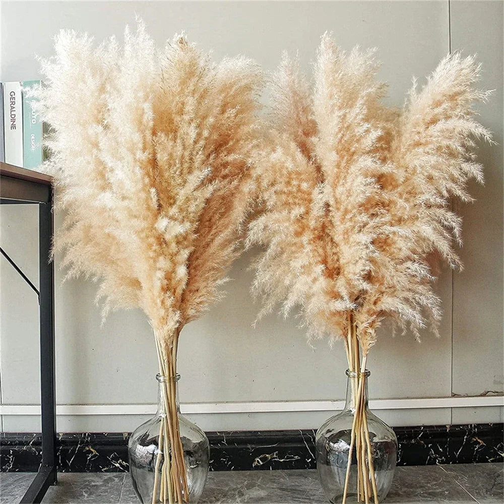 plantes séchées naturelles rustiques décoration mariage intérieur bohème fleurs séchées herbes moelleuses beige clair