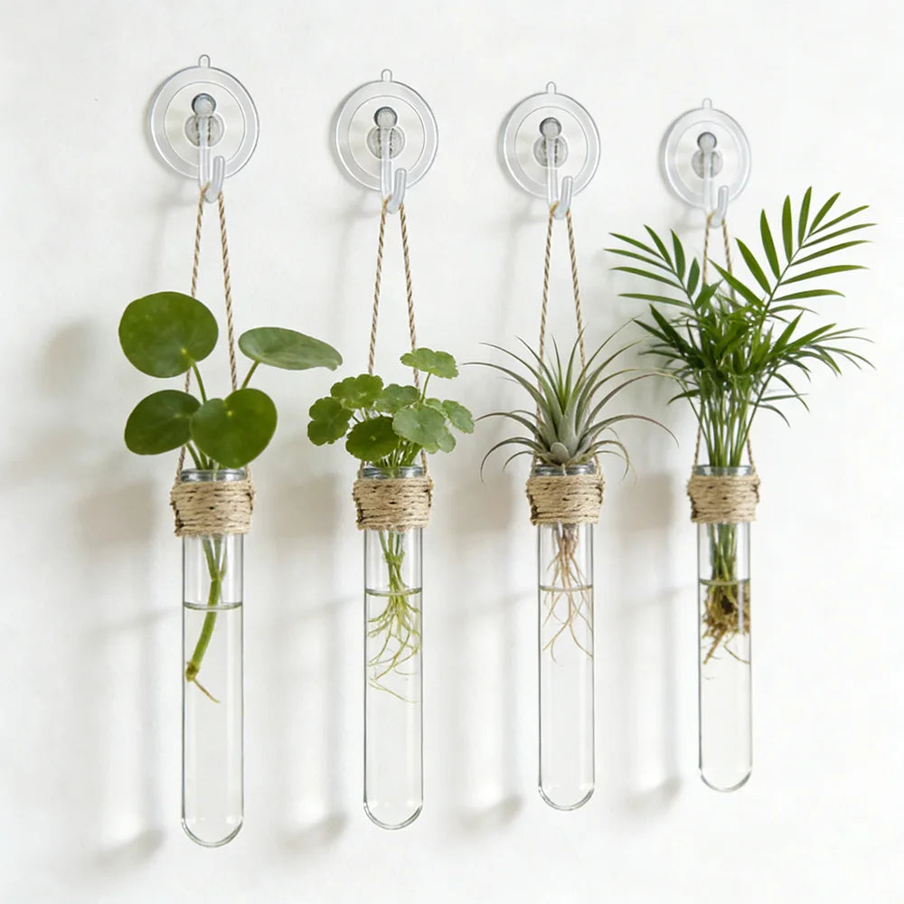 vases suspension transparents tubes essai verre minimaliste plante fleur décoration intérieure contemporaine scientific mur