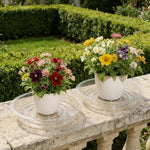 plateau drainage fleurs transparent rond gravé moderne rangement déchets maison jardin