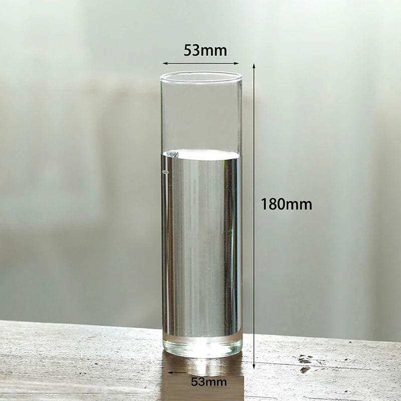 vase verre transparent moderne décoration intérieure chambre fleurs artificielles inclusion hydroponique