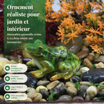statue grenouille verte réaliste deco jardin ludique extérieure animaux decor vertesextérieur ornement