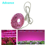 ruban led rose plantes croissance horticole usb serre hydroponique fleurs fleurs fleurs fleurs
