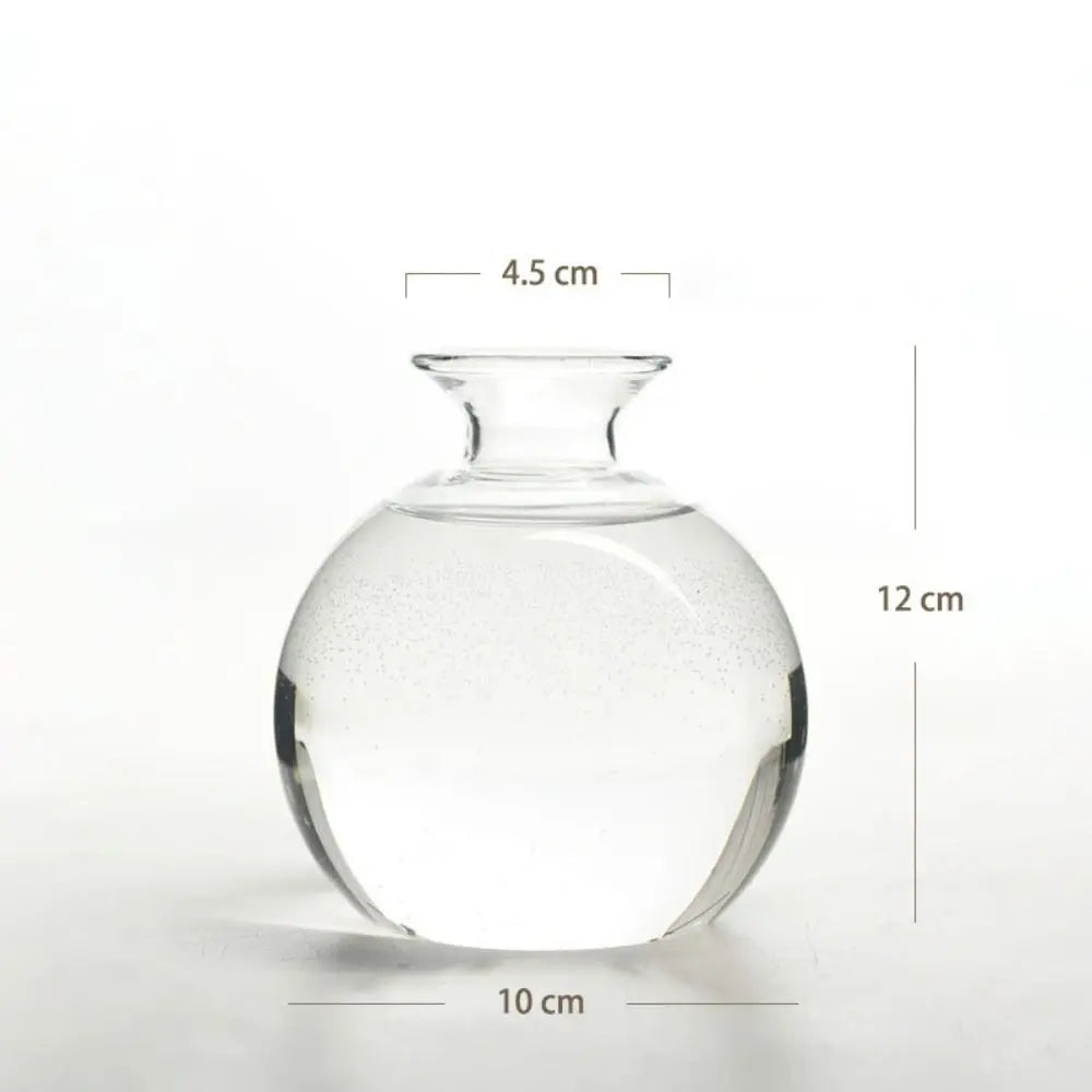 vase transparent moderne verre culture plante eau maison jardinage fixations