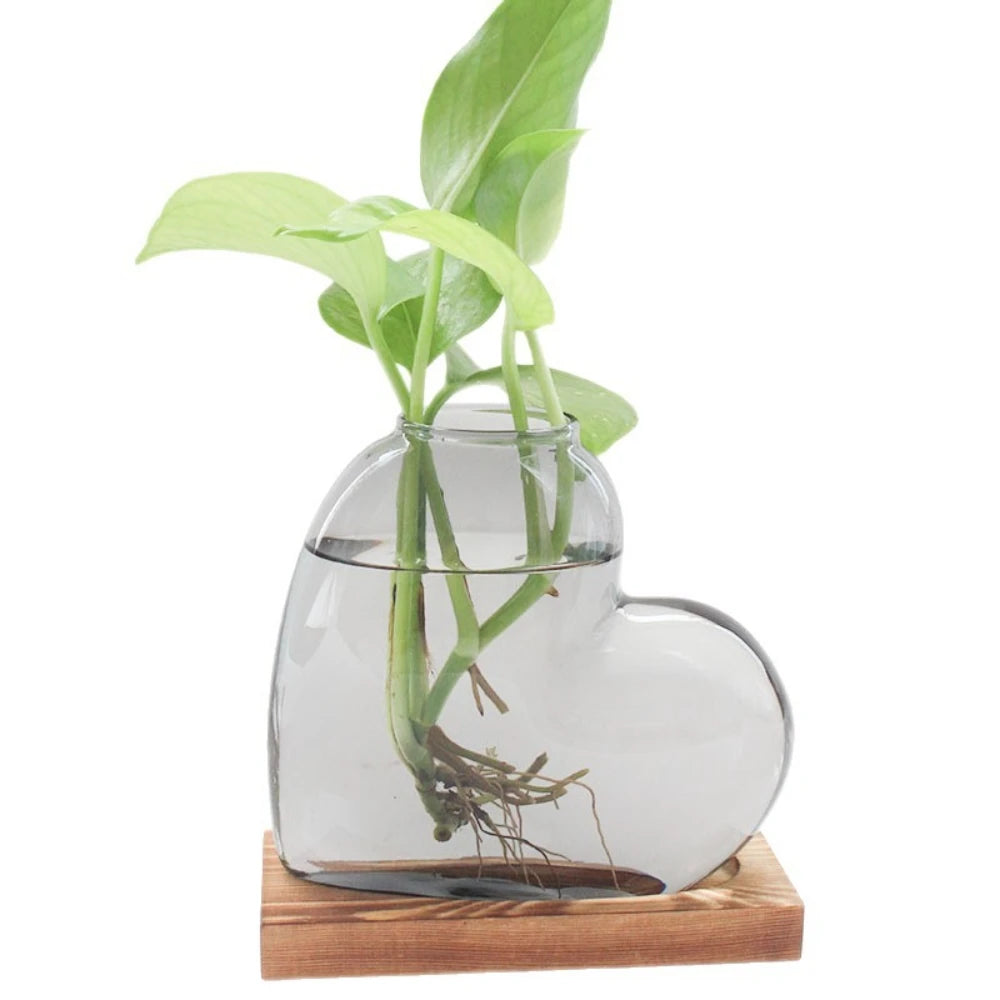 vase verre forme cœur transparent moderne plante verte support bois