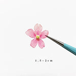 fleurs séchées violet rose blanc décor maison DIY craft nail art maquillage artisanales kit