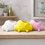 pots fleurs forme nuage souriant couleurs blanc rose jaune mignon cartoon succulente mousse