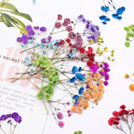 bouquet fleurs séchées naturelles variées bleu vert violet rouge jaunes ornement intérieur décoration artisanale