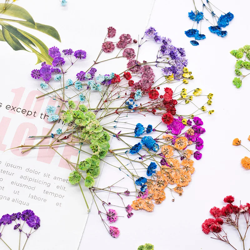 bouquet fleurs séchées naturelles variées bleu vert violet rouge jaunes ornement intérieur décoration artisanale