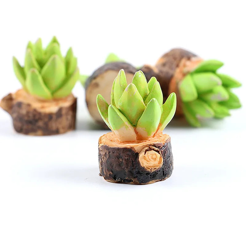 étagère plante moderne mini pots bois blanc succulentes ornement verdureintérieur