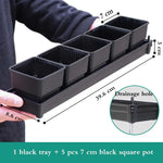 lot pot succulentes plastique blanc moderne trous drainage aération plantes maison