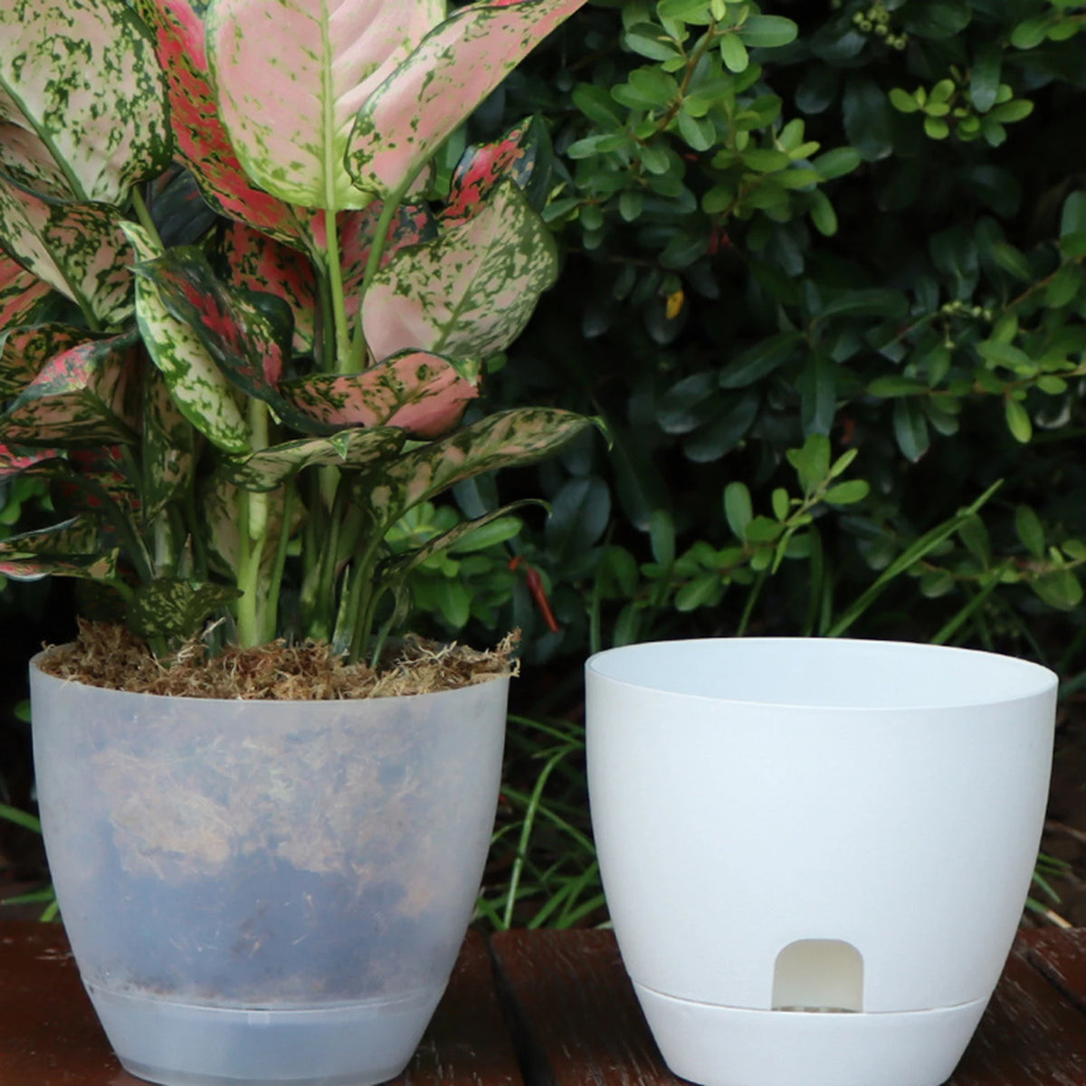 Pots fleurs blancs modernes plastique opaques plantes vertes 13cm capacité grande