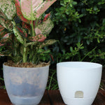 Pots fleurs blancs modernes plastique opaques plantes vertes 13cm capacité grande
