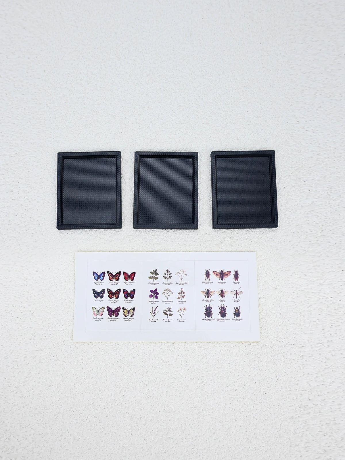 cadre photo miniature papillons insectes noir adhésif décoration halloween pâques micro paysages accessoire photo