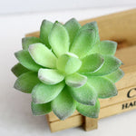 plantes succulentes artificielles cactus agave mini décorations vert blanc moderne minimalisteextérieur exposition