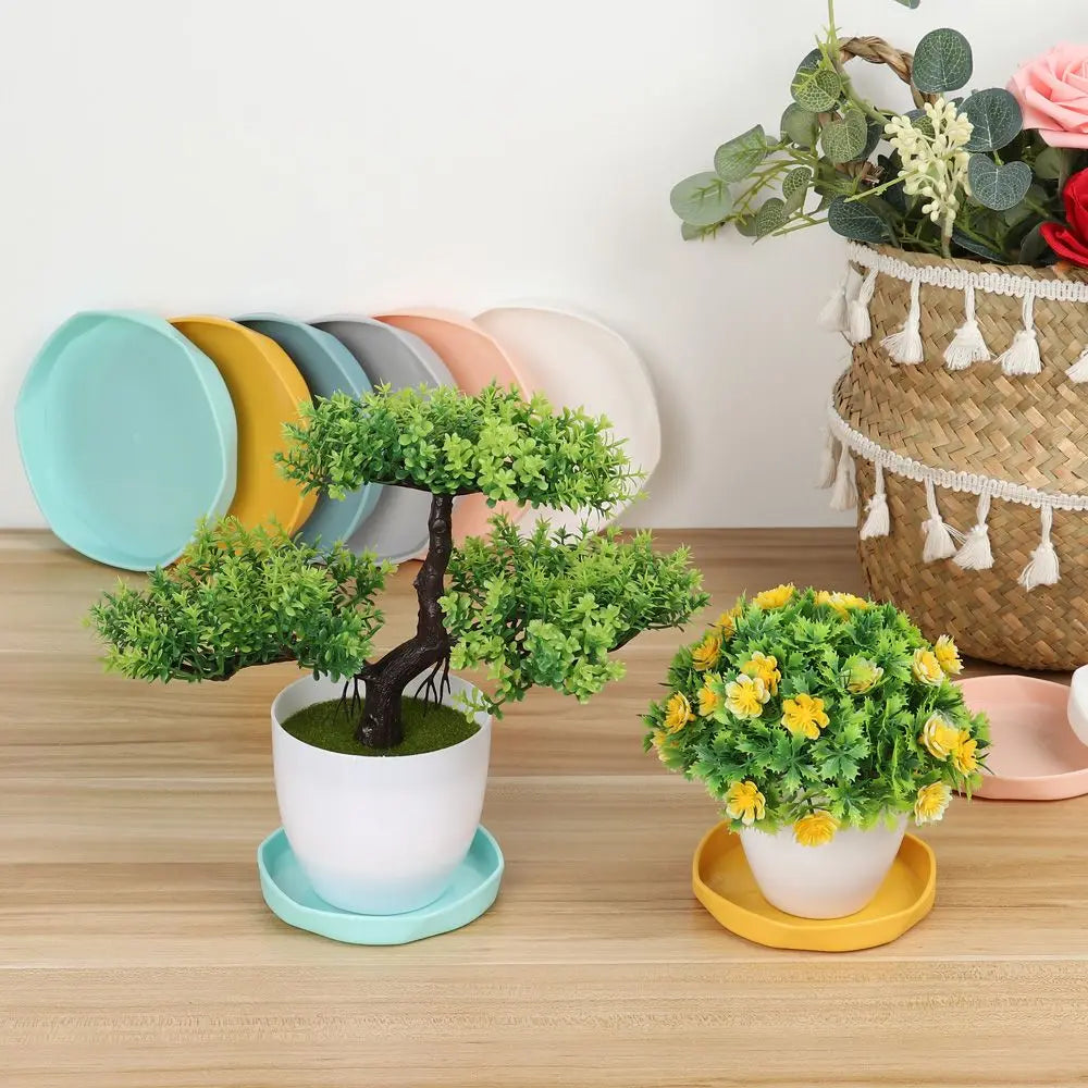 assiettes modernes minimalistes jaune rose blanc vert bleu gris plastique 11cm 14.5cm