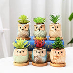pots céramique oiseaux moderne succulentes décoration jardin vert marron bleu