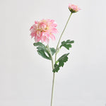 bouquet dahlias rose clair blanc minimaliste décoration intérieure hiver anniversaire noël mariage