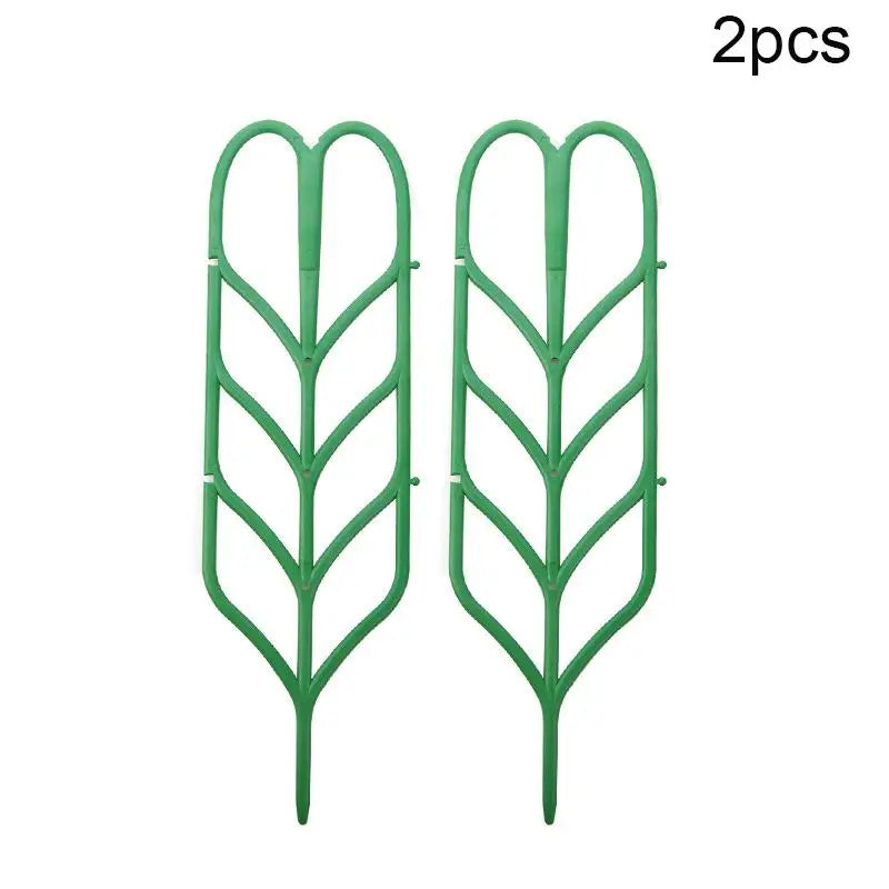 supports plante grimpante treillis feuilles vintage pots verts tiges fixantes aménagement serre