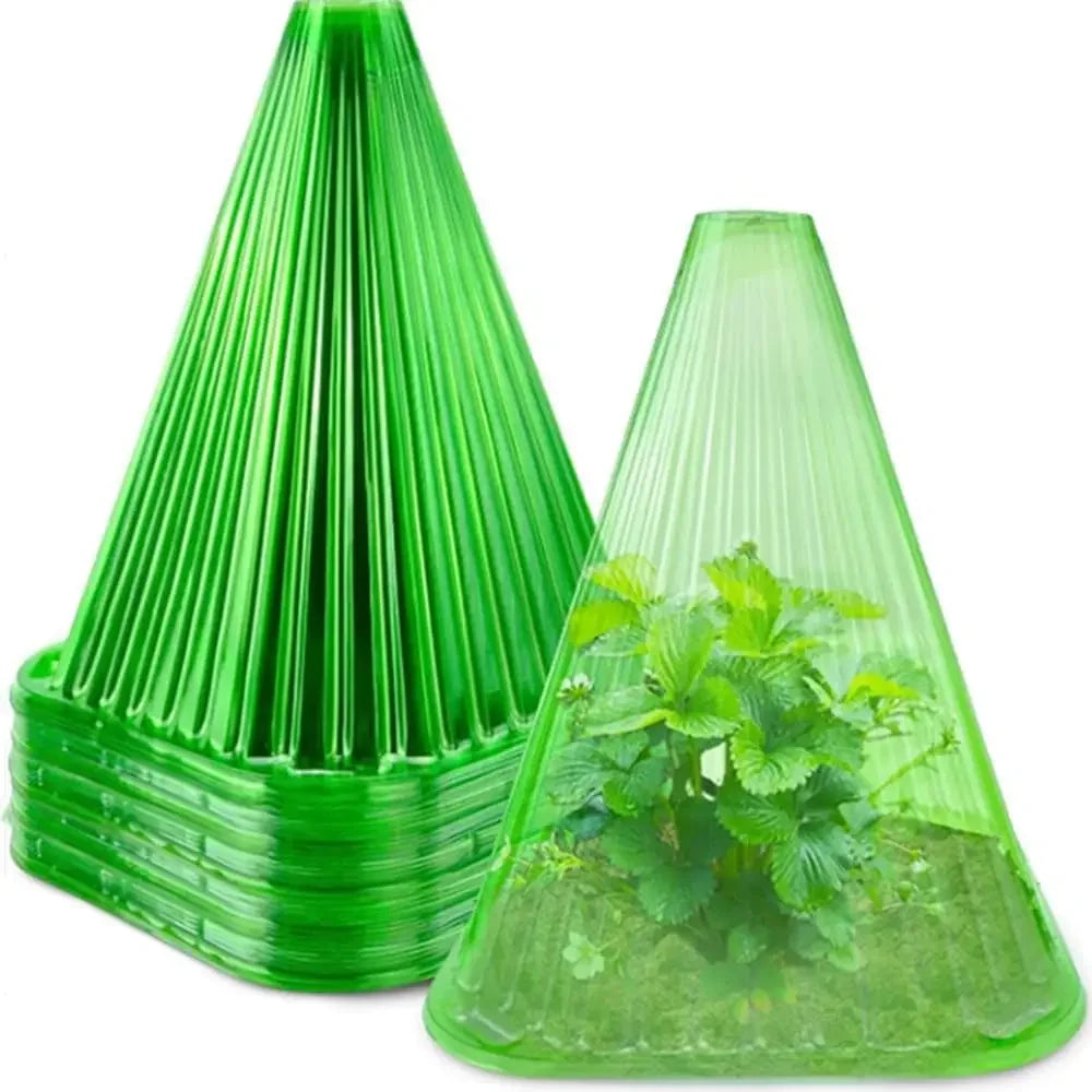 cache plantes vert transparent rayures conique fixé sol protection plantes gel oiseaux escargots
