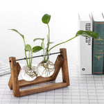 Vase hydroponique vintage en verre avec support bois jaune